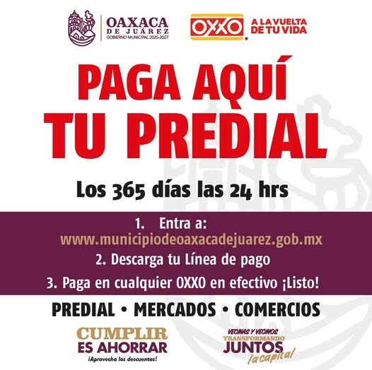 CUMPLIR ES MÁS FÁCIL: CAJAS RECAUDADORAS ACTIVAS Y PAGOS A MESES SIN INTERESES post thumbnail image